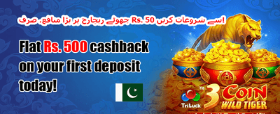 روزانہ انعامات promotion